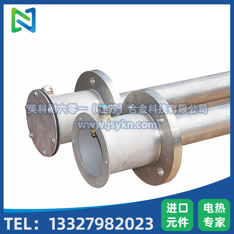 Inconel 601 浸没式加热器