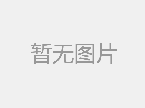 德国BGH Cr20Ni80电热合金丝